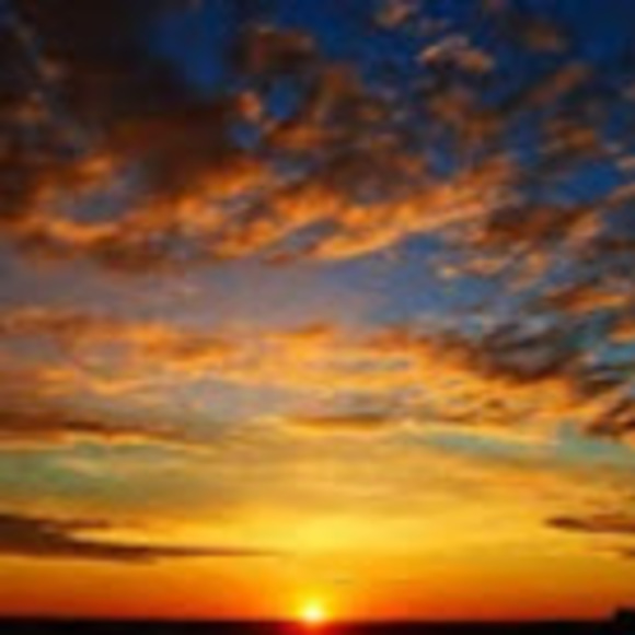 Meet your Posher, Shea - Picture 1 of 1